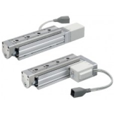 High Precision Type Electric Slide Table LESYH-X171